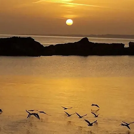 Spasmata Village No Cooking Only Adults Appartement Minia